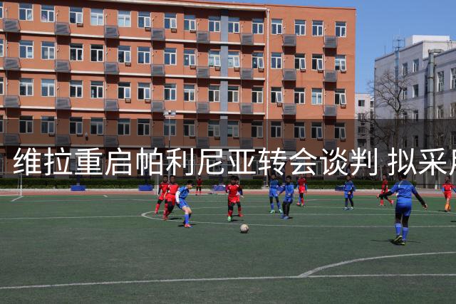 维拉重启帕利尼亚转会谈判 拟采用租借+强制买断方案